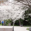 FDR Memorial 2